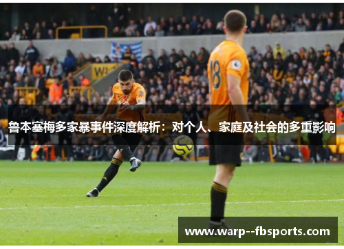 鲁本塞梅多家暴事件深度解析：对个人、家庭及社会的多重影响